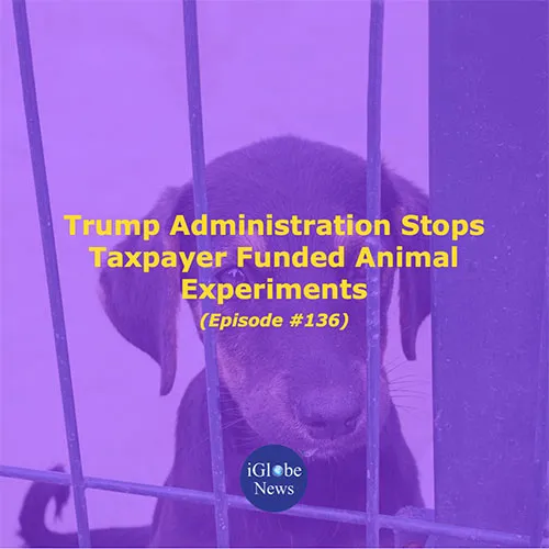 Audio Article: Trump Administration Stops Taxpayer Funded Animal Experiments