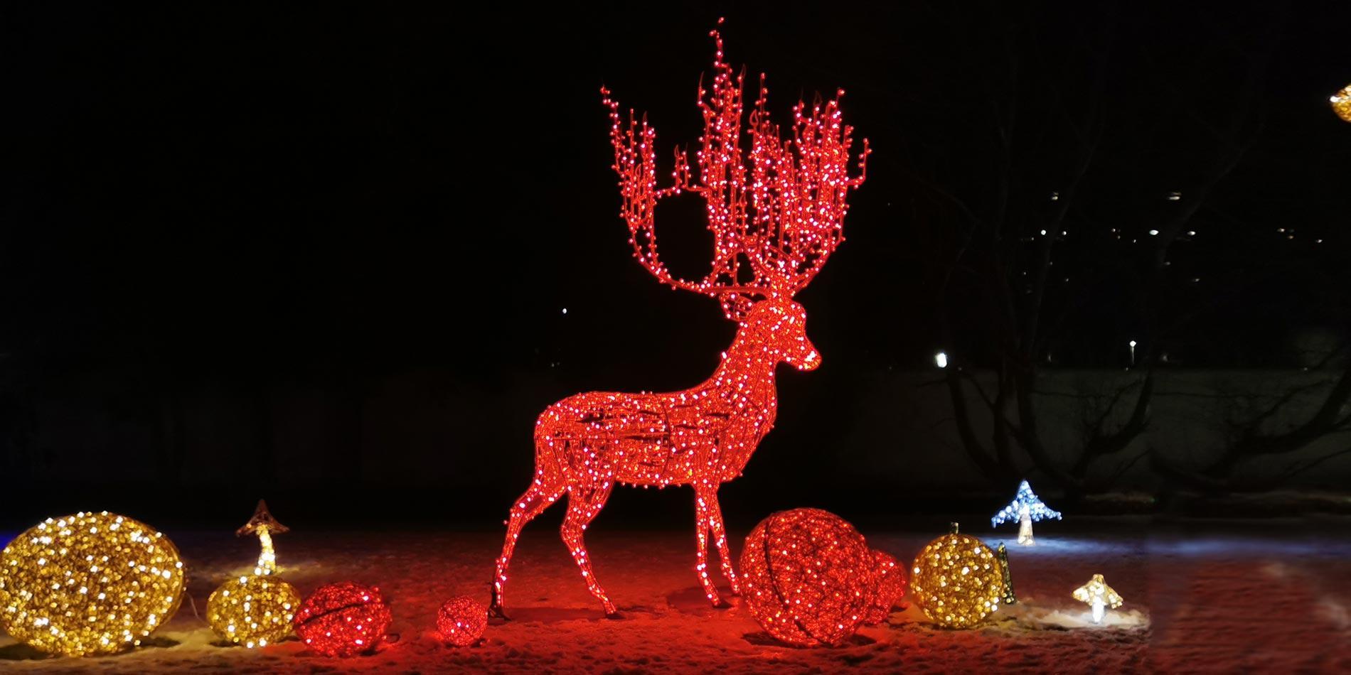 LUMAGICA: Magisches Winterwunderland im Innsbrucker Hofgarten
