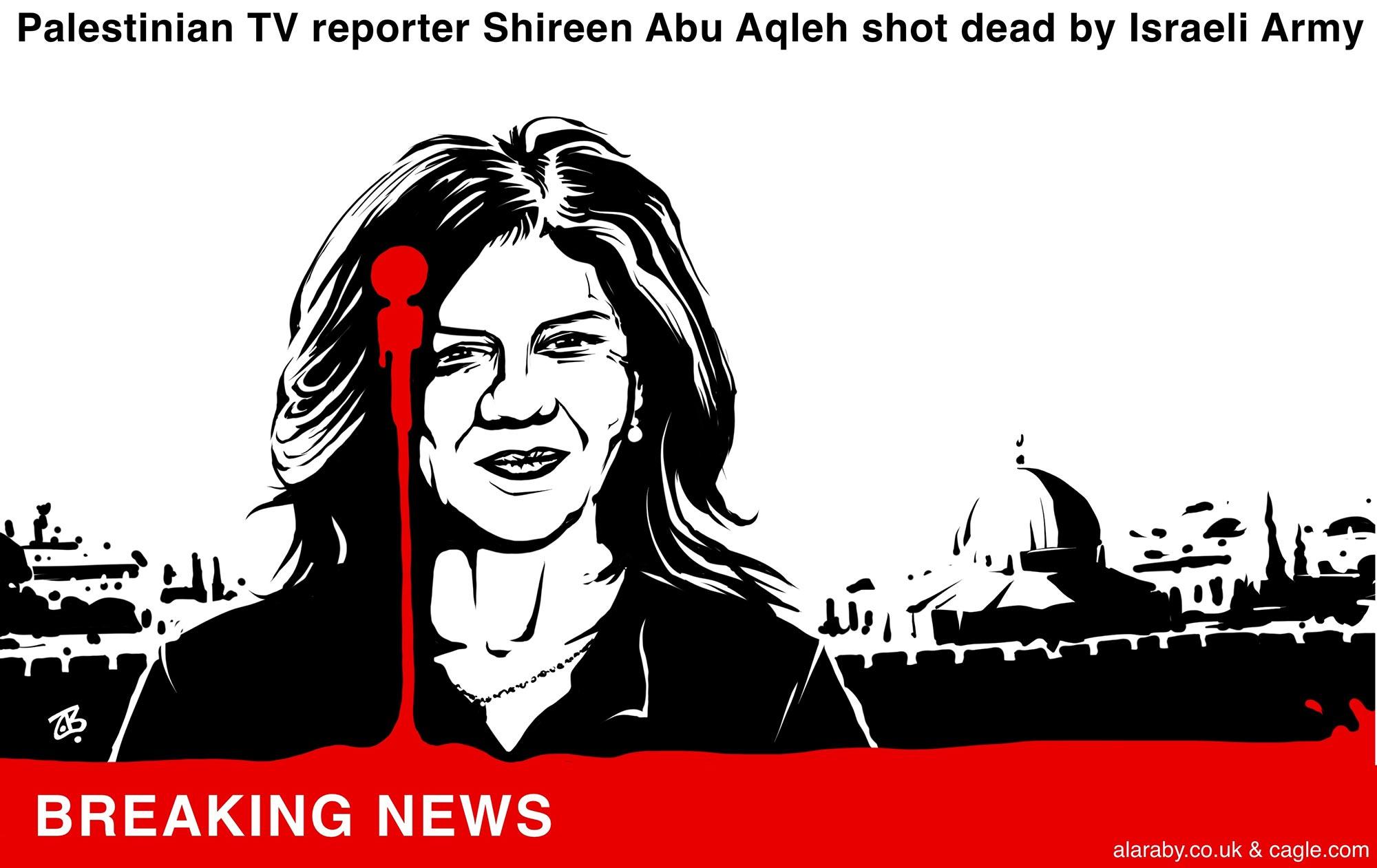 Killing of Palestinian Journalist