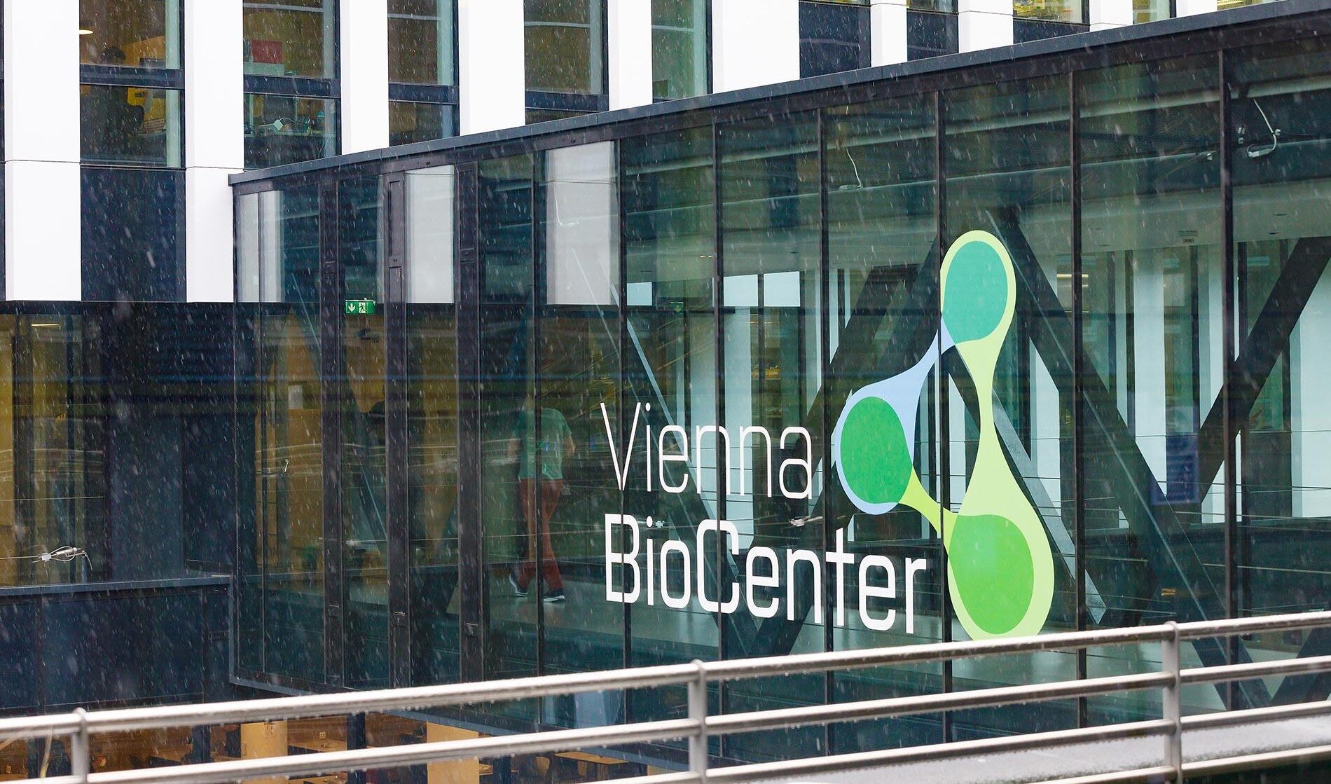 The Vienna BioCenter – A Leading Hub for Life Sciences in the Heart of Europe