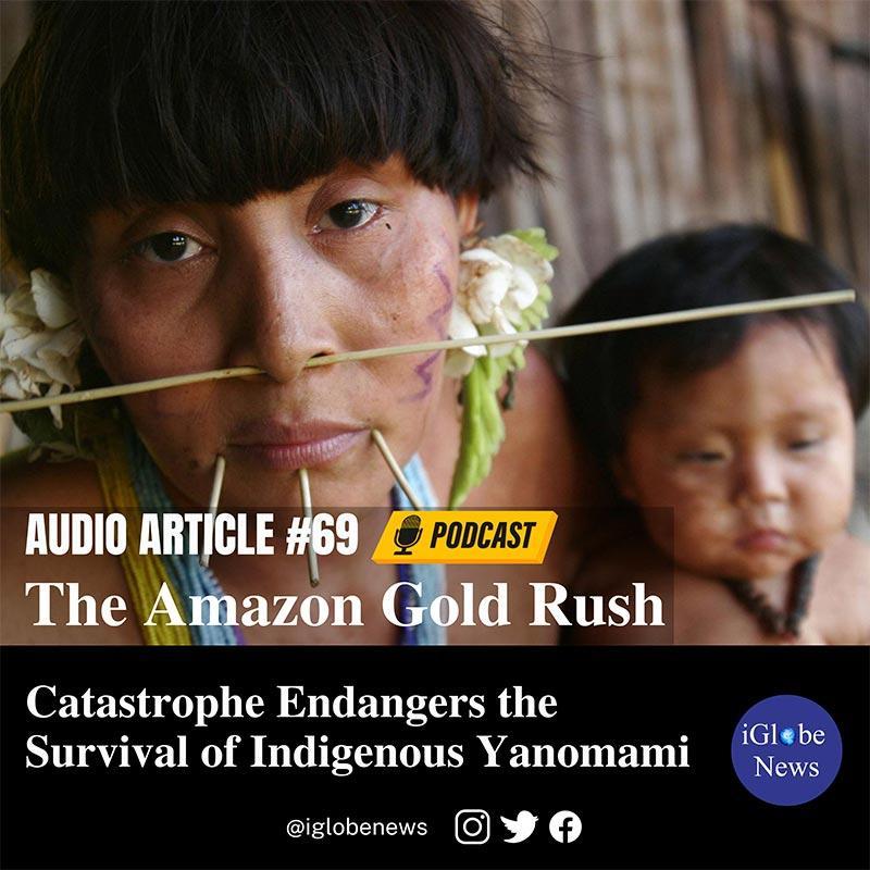 Audio Article Amazon Gold Rush