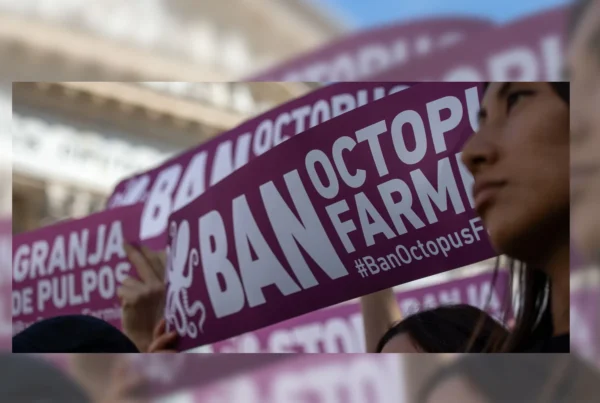 Activist against octopus farming