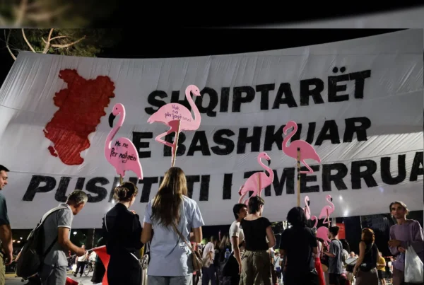 Albania, Flamingo Revolution