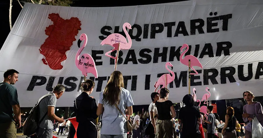 Albania, Flamingo Revolution