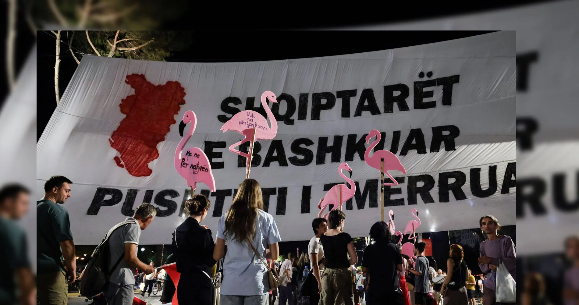 Albania, Flamingo Revolution