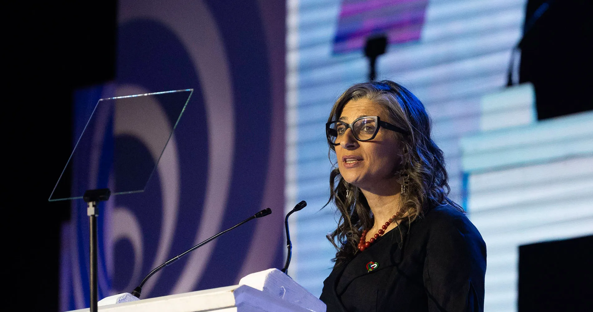 Francesca Albanese - UN report