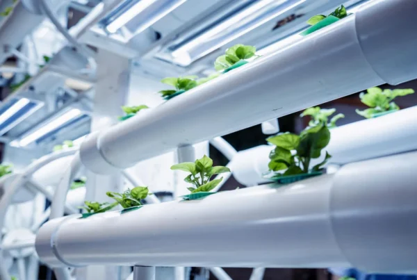 Vertical Farming