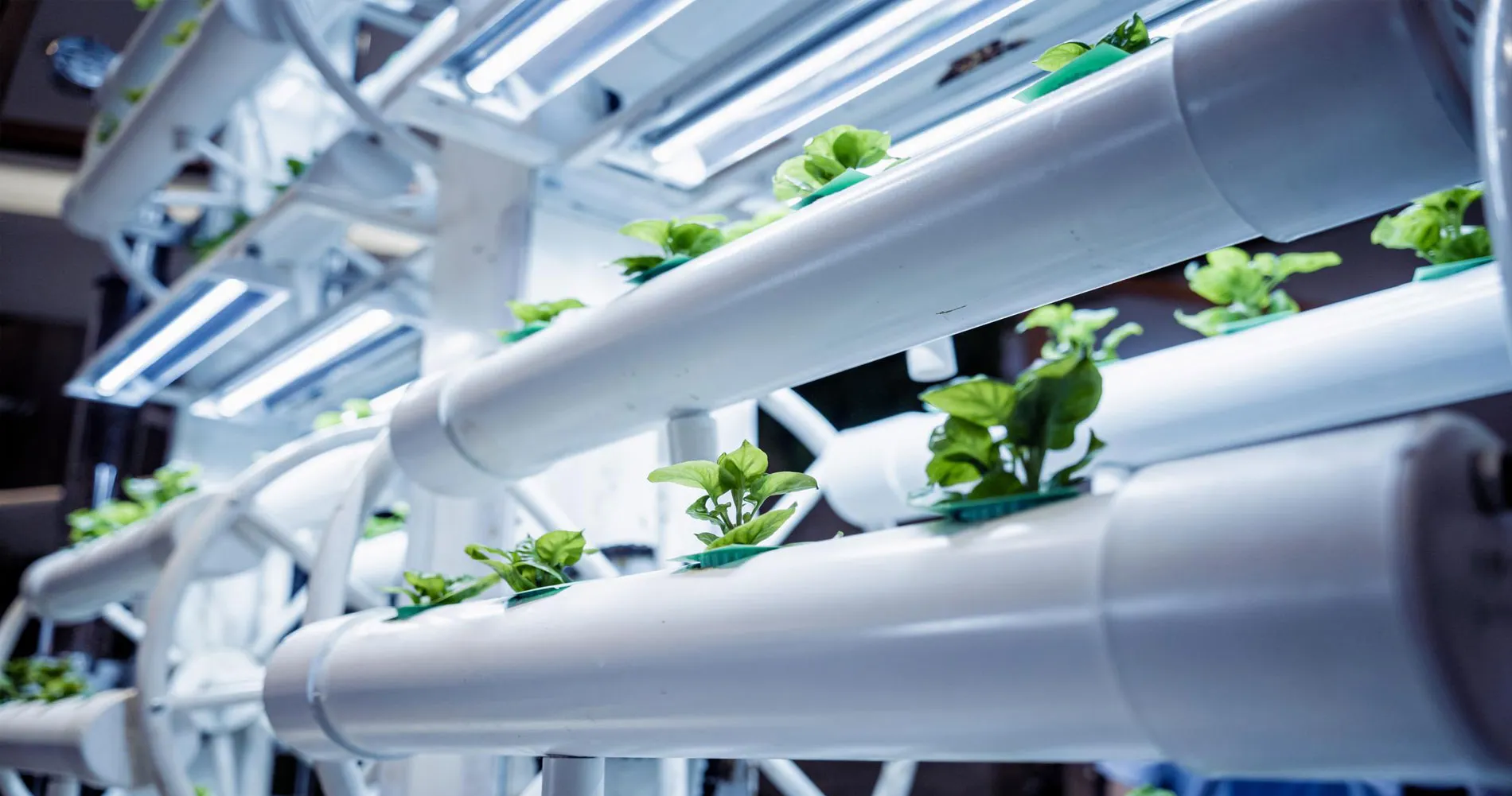 Vertical Farming