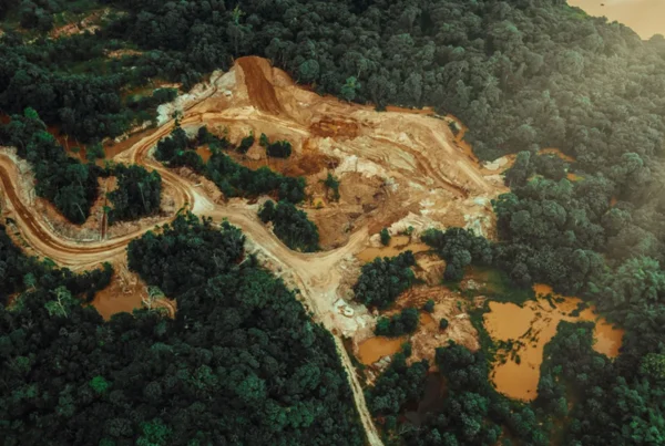 Aerial view of the Amazon rainforests deforestation